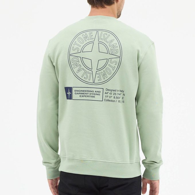 Sage Green cotton fleece sweatshirt