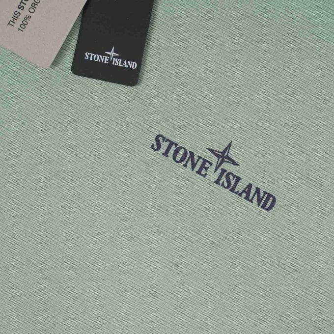 Sage Green cotton fleece sweatshirt