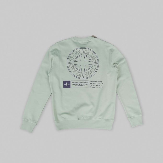 Sage Green cotton fleece sweatshirt